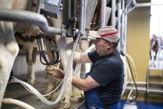 Alors que les prix des produits agricoles et laitiers augmentent dans les supermarchés, les paysans eux ne profitent pas de cette hausse, a critiqué l'Union suisse des paysans (USP) (archives). KEYSTONE/GAETAN BALLY